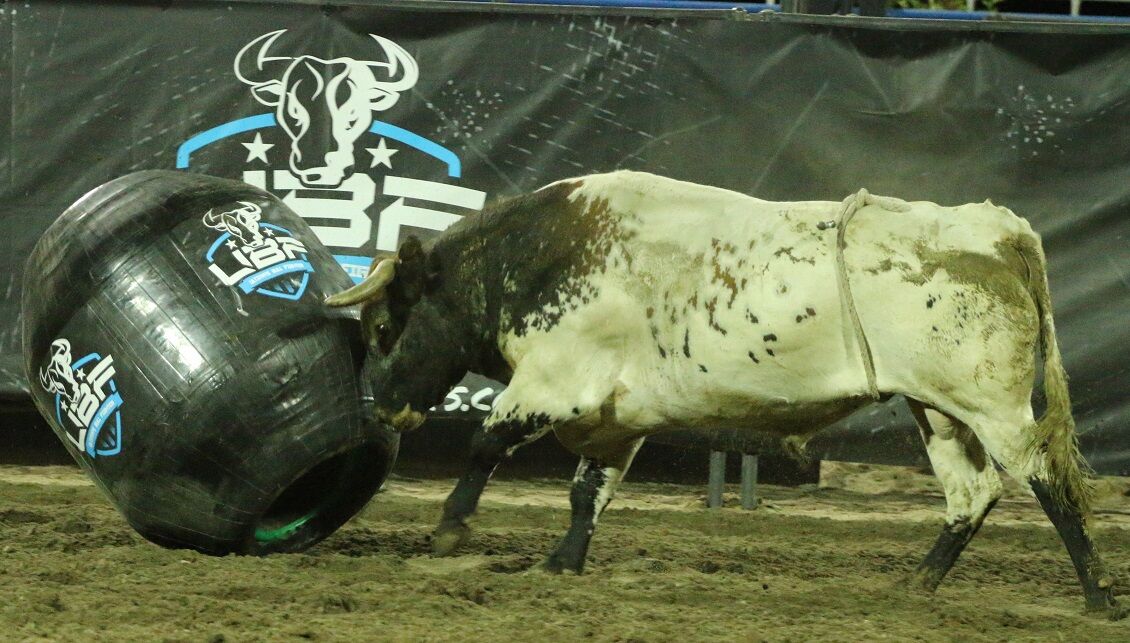 barrell of fun.JPG
